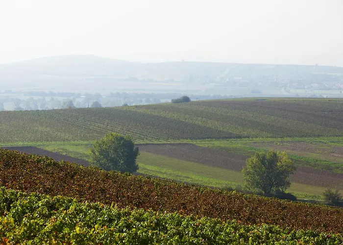 Ferienwohnungen Im Weingut Huff-Doll