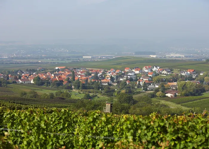 Ferienwohnungen Im Weingut Huff-Doll