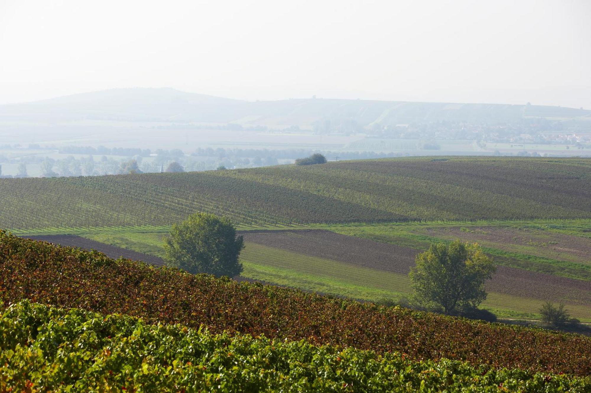 Appartement Im Weingut Huff-doll *