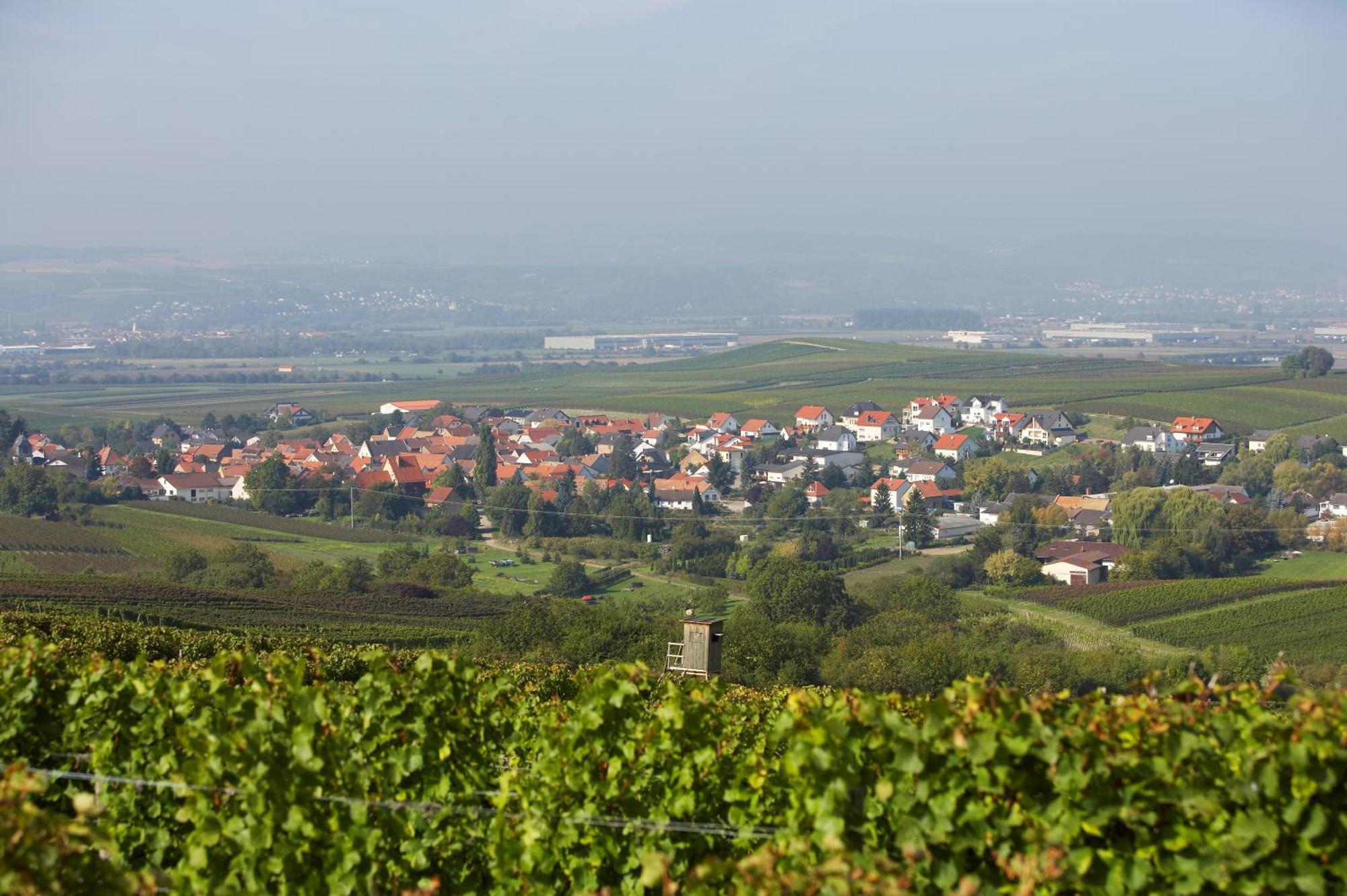 Appartement Im Weingut Huff-doll